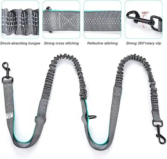 Dog Bungee Leash Hands Free Waist Belt with features highlighted on a white background