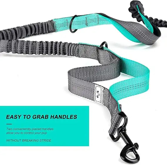 Gray and teal dog leash with easy-to-grab handles on a white background