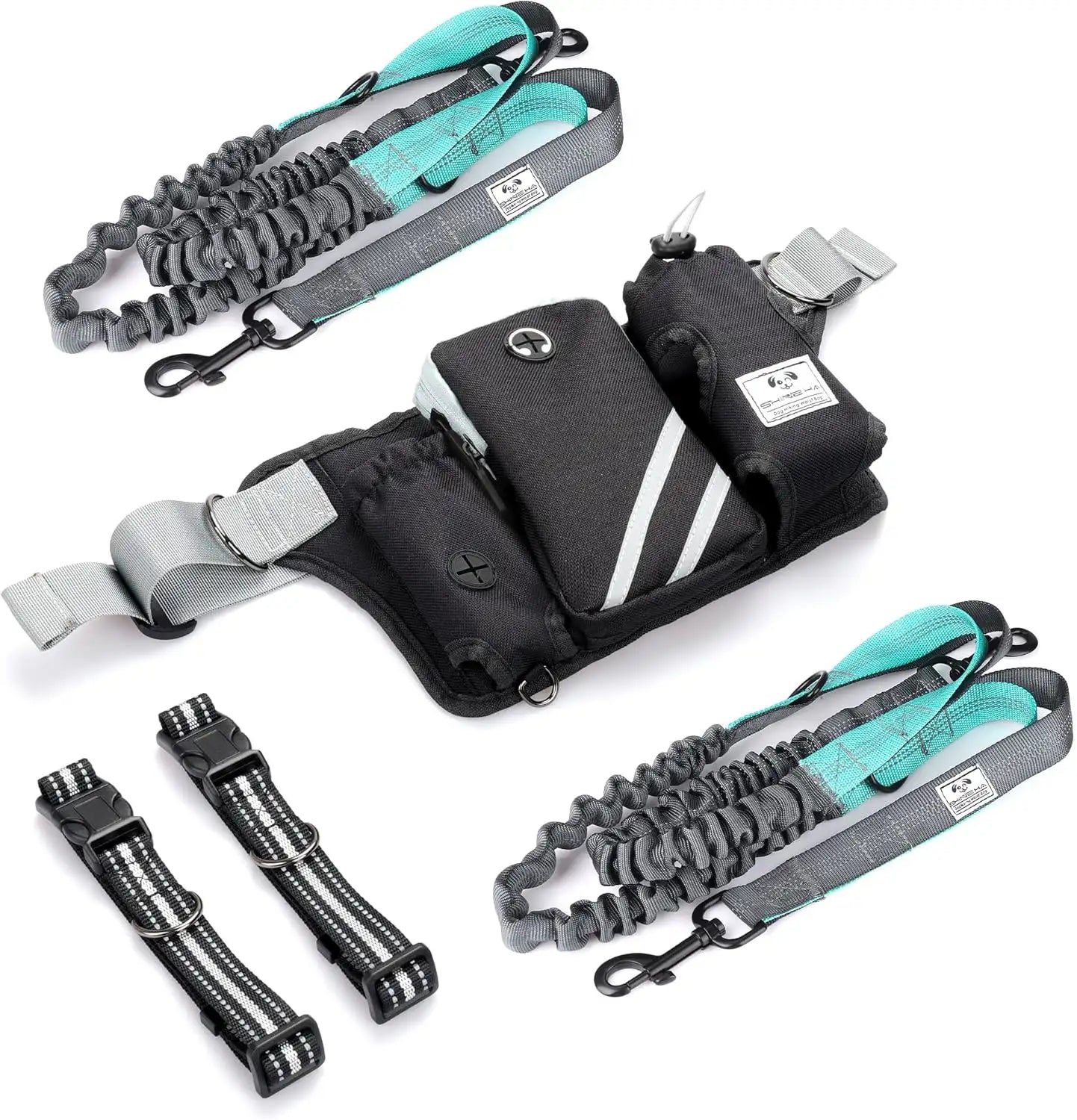 Dog Bungee Leash Hands Free Waist Belt equipment set on a white background