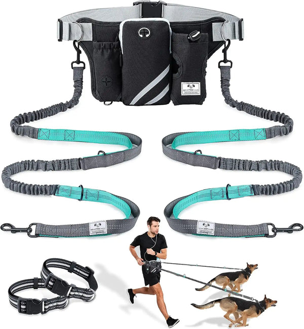 Hands Free Dog Bungee Leash with Waist Belt with dual dog leashes and a man running with dogs on a white background