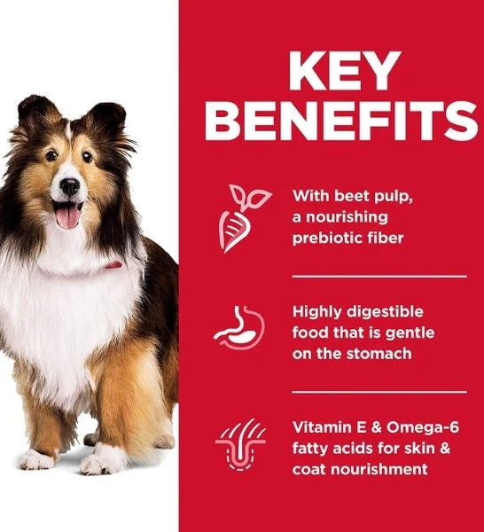 Dog with key benefits of a Hill's Science Plan Sensitive Stomach & Skin Medium Adult Dry Dog Food on a red background