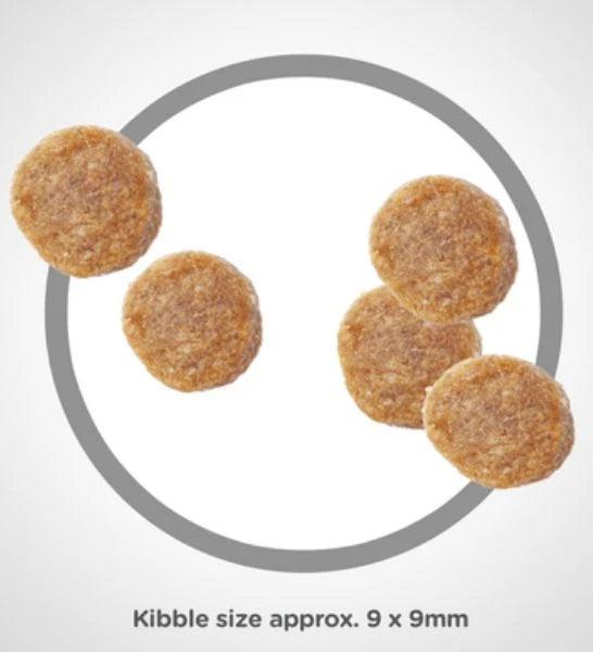 Cat food kibble with a circle highlighting its size on a gray background