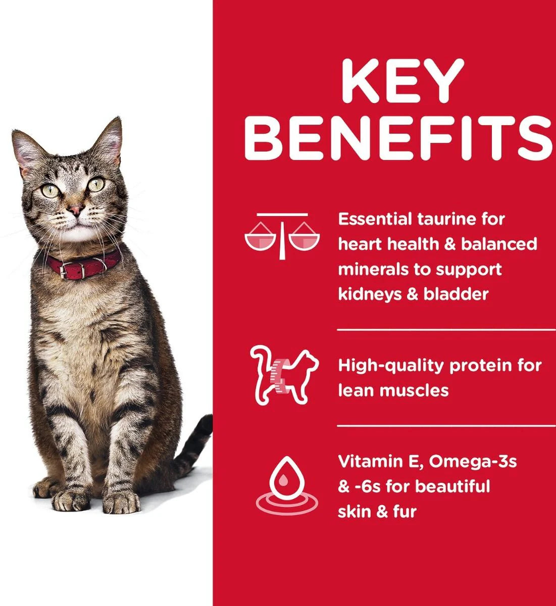 Cat with a red background listing key benefits of a pet product.