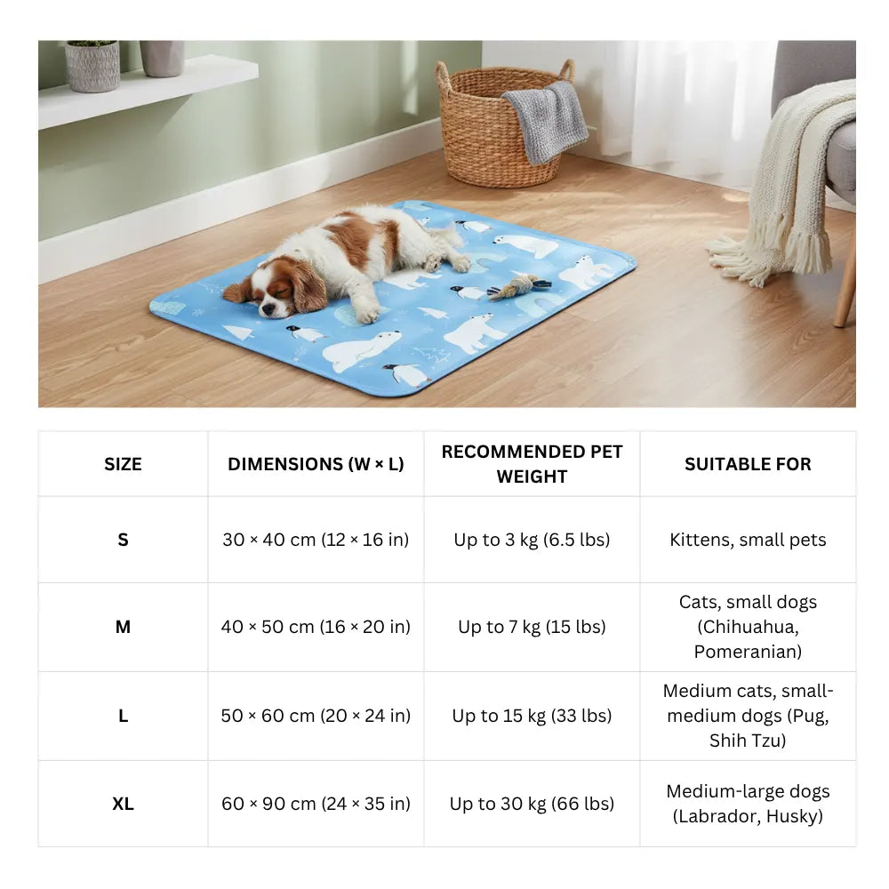 Dog lying on a blue pet mat with size chart in the foreground