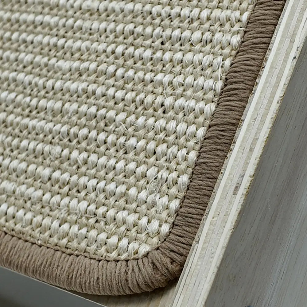 Close-up of a textured beige rug with brown border on a wooden floor.